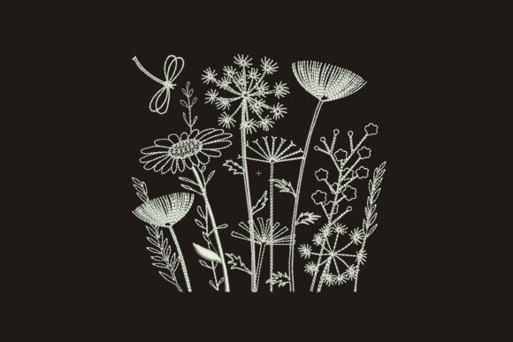 Flower Dandelion